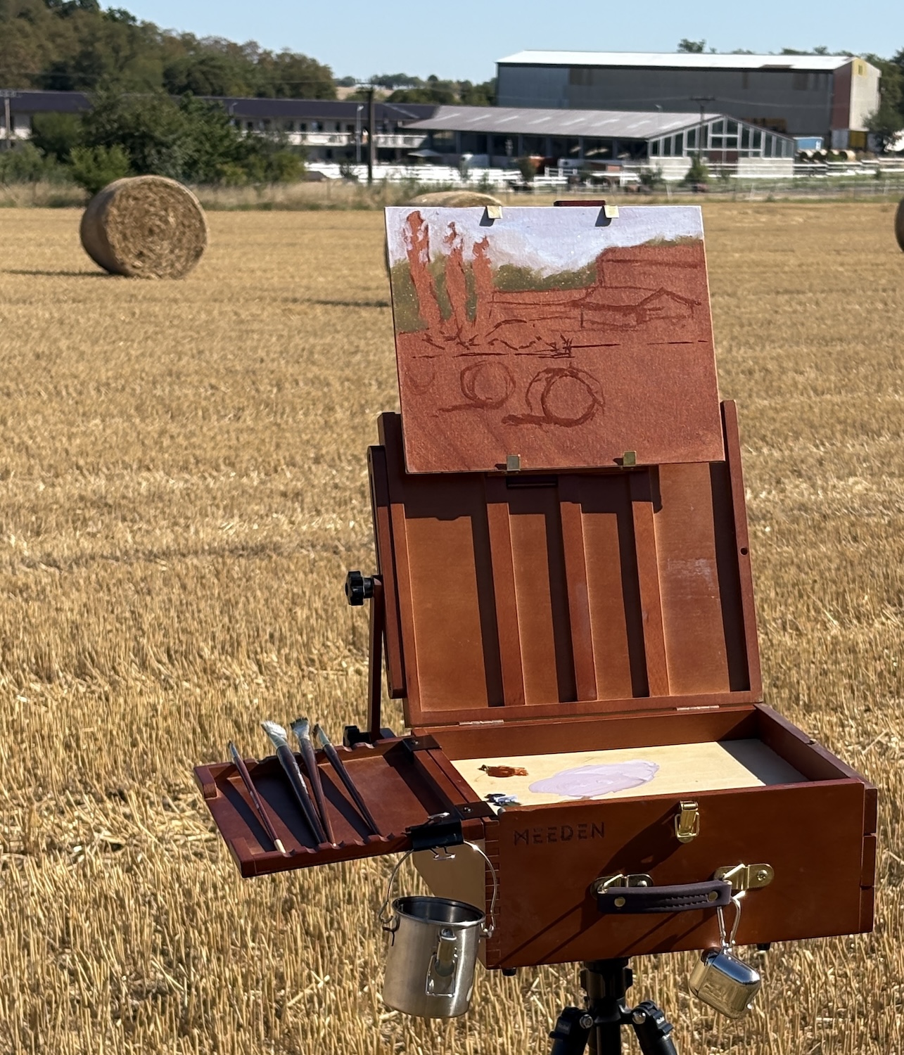 Pole s baliky sena _ plener 1